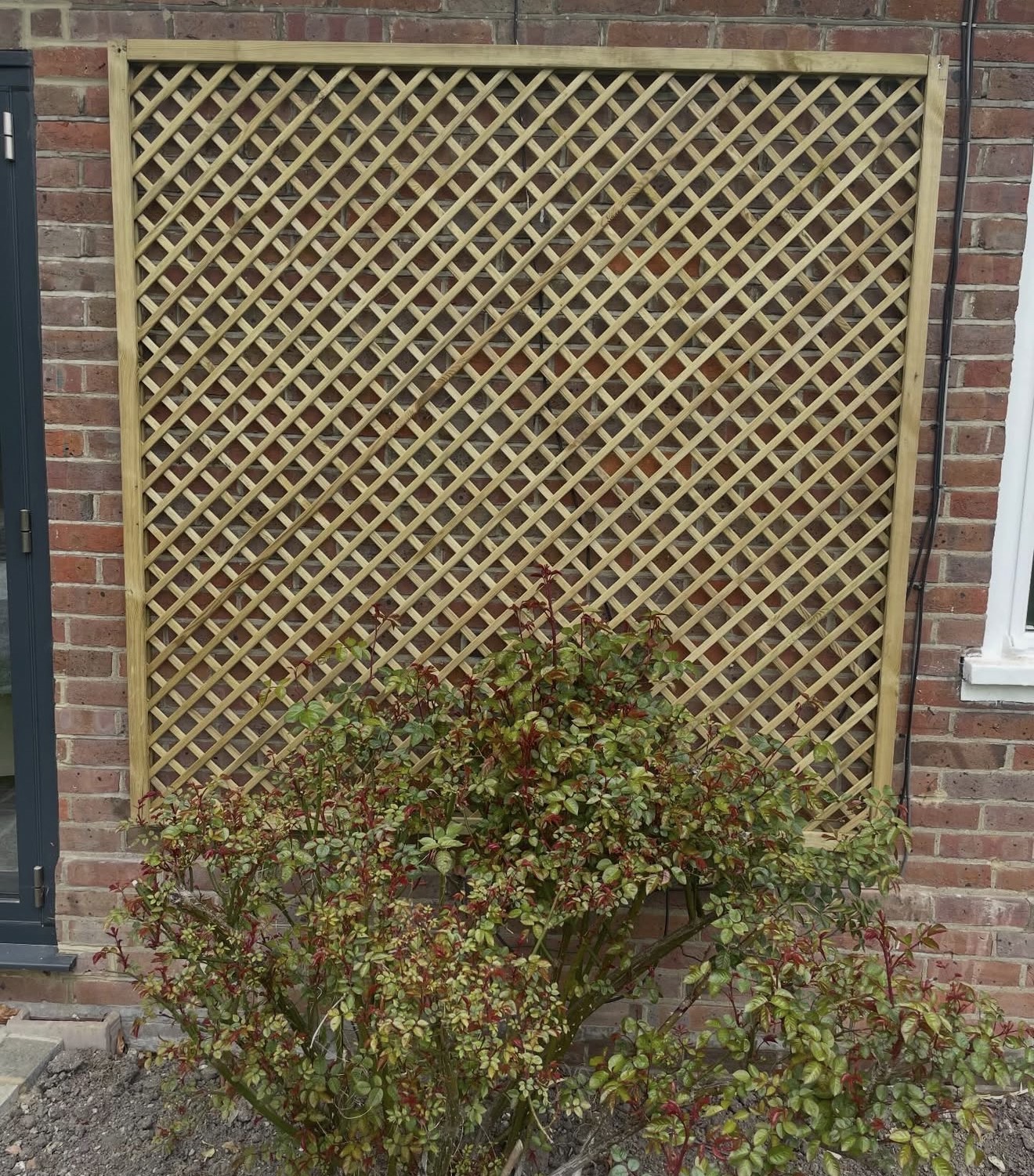 Diamond lattice trellis panel fitted to a red brick wall